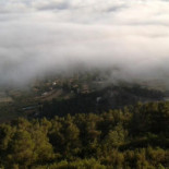 L'alqueria Extérieur