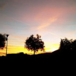 New Why Not Exterior