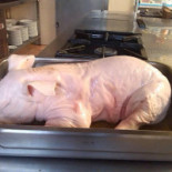 Albergue Juvenil De Igea Boisson