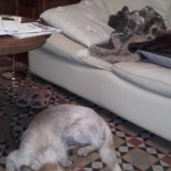 El Corral De Llers Bebida