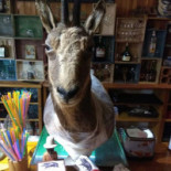 Casa Petris Asador Dentro