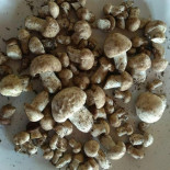 Casa Petris Asador Bebida