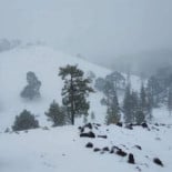 Pizzeria Juany Exterior