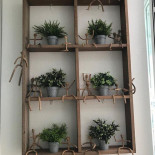 Golpe De Estado outside