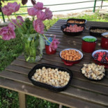 Los Jarales Bodas Y Eventos En La Naturaleza Comida