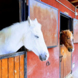 La Mossegada outside