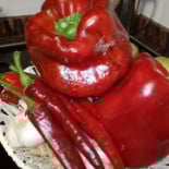 La Posada Del Mar food