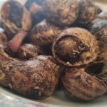 Can Batlle Nourriture