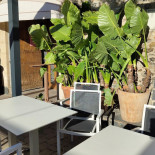 Can Batlle Extérieur