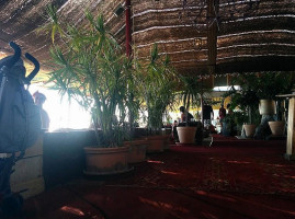 Jaima Meccarola À l'intérieur