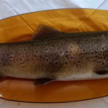 Napoleon Valle Del Jerte Comida