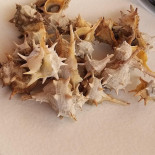 El Pescador Casa Angelina Bebida