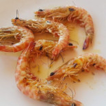 El Pescador Casa Angelina Bebida