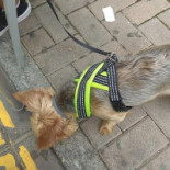 Cafe El Rincon De Curro Bebida