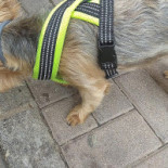 Cafe El Rincon De Curro Exterior