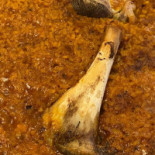 Abuela María Cuatro Esquinas Nourriture