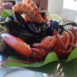 Club Nautic Casa Montero L'ampolla drink