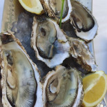 Club Nautic Casa Montero L'ampolla drink