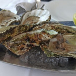 Club Nautic Casa Montero L'ampolla drink