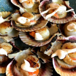 Meson Termino Comida