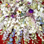 El Fogal Pizzeria Bebida