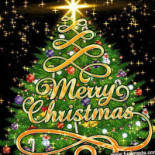 El Boquetillo Street Food drink