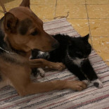 El Boquetillo Street Food menu