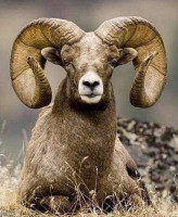 Sidreria La Casona drink