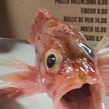 Charlotte Nourriture