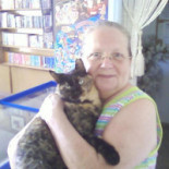 Freddy Julies English Bebida