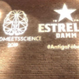 Morro Fino, Tasca Contemporanea Carte