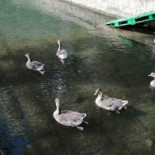 El Rincon Del Quijote Exterior