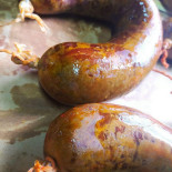 La Campanona Nourriture