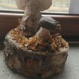 La Campanona Boisson