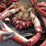 La Cantina Nourriture