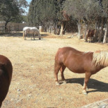 La Serreta Extérieur