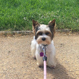 Marlows Fish And Chip drink