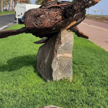 Tortuga Fuerteventura outside