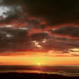 Tortuga Fuerteventura outside