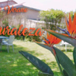 El Jardin De Victoria Bebida