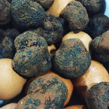 La Lobita Nourriture