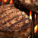 Abrasador Altomira Boisson