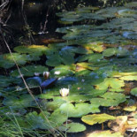 Mesón Montés De Toledo Exterior