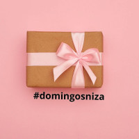 Niza Valladolid logo