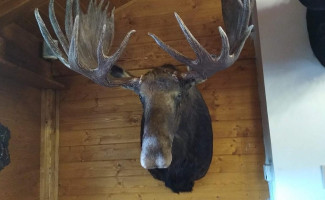 Penzion Myslivna Bebida