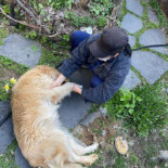 El Rincón De Quisco Exterior