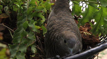 Restaurace Šnyt Na Sídlišti Bebida