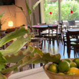 Mezkla Zahara Bebida