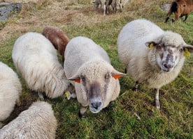 Bowling Peklo Jachta Exterior