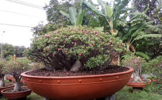 Restaurace Stadion Exterior